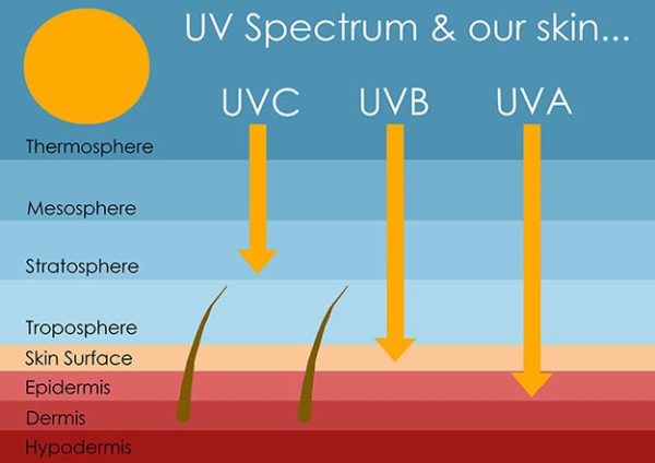 Differences between UVA, UVB, and UVC - Surya Home