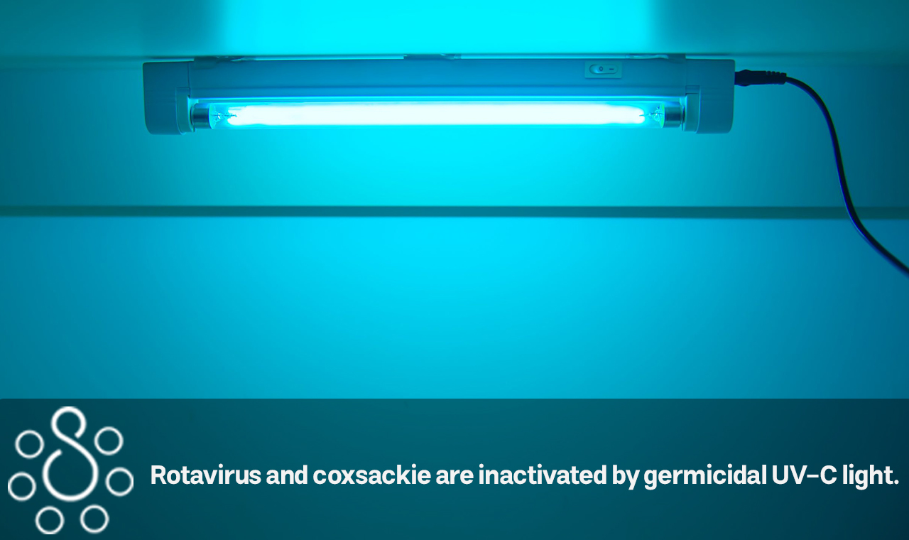 Rotavirus and coxsackie are inactivated by germicidal UV-C light.